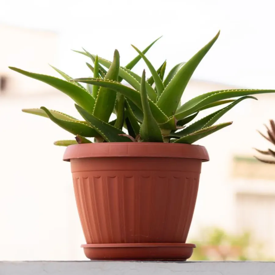 Cache-pot Argile en terre cuite
